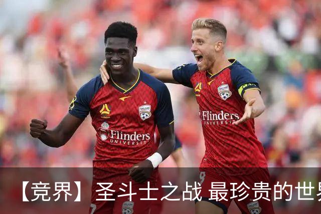 【竞界】圣斗士之战 最珍贵的世界杯藏品