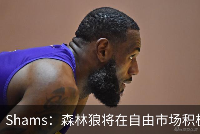 Shams：森林狼将在自由市场积极补强4号位 但他们只能提供底薪